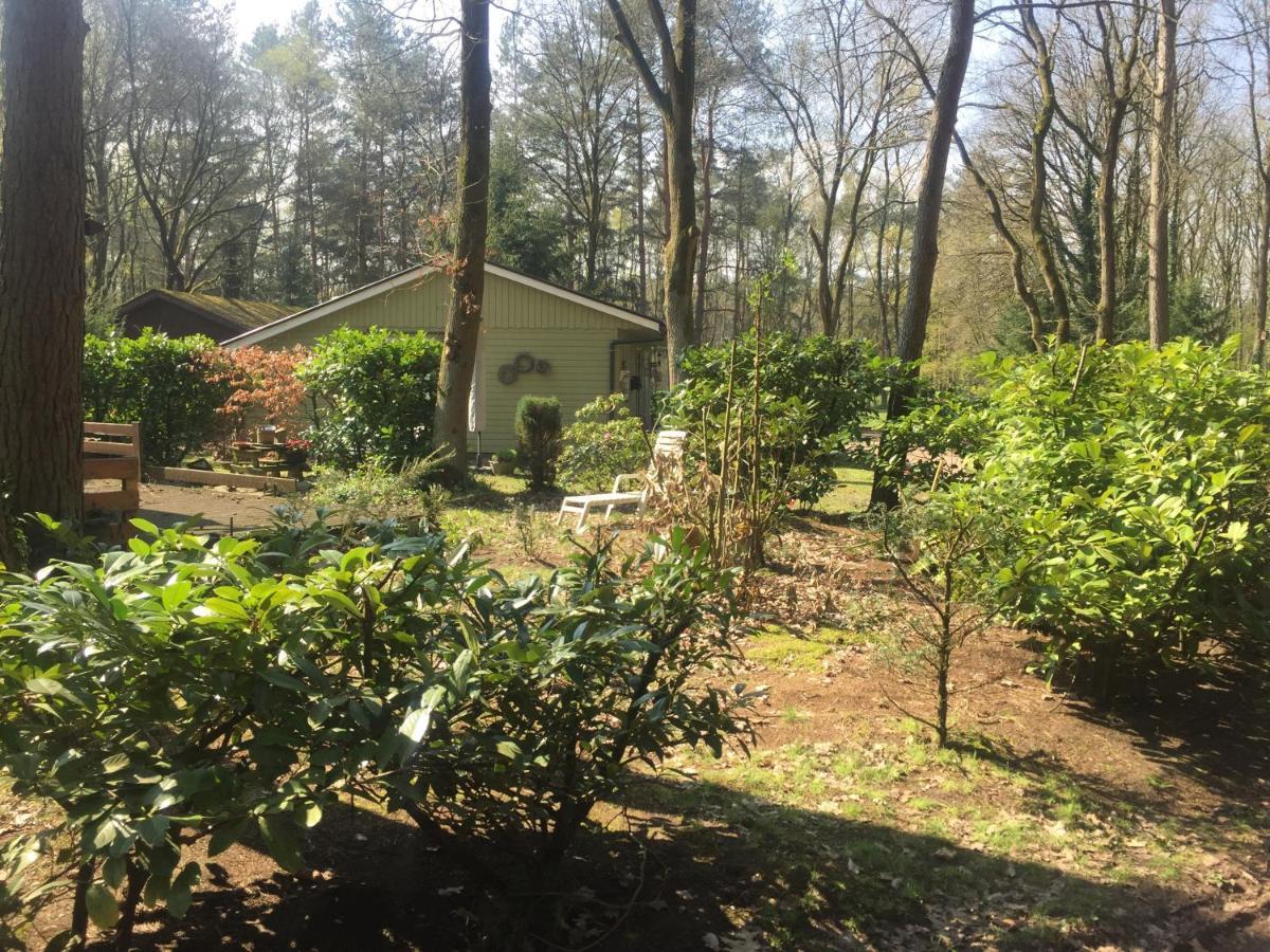 Chalet Sint Barbara Zutendaal Ngoại thất bức ảnh
