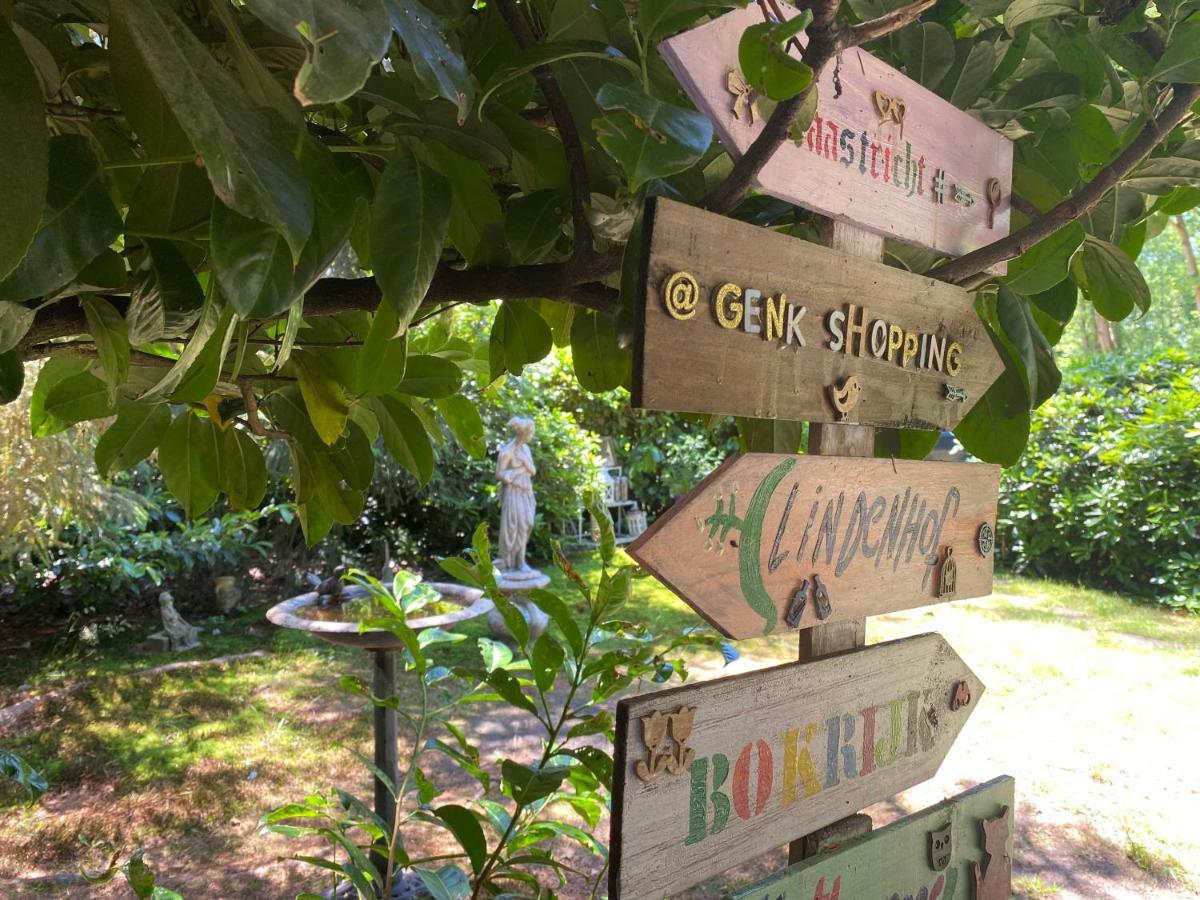 Chalet Sint Barbara Zutendaal Ngoại thất bức ảnh
